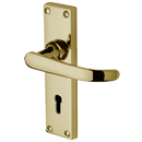 Avon Lever Lock Polished Brass Door Handle Wooden Door Handles